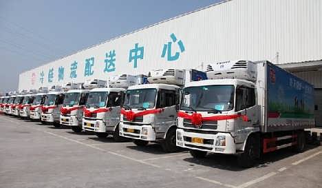 广州塑胶厂国际货运代理价格 广州塑胶厂国际货运代理厂家批发 