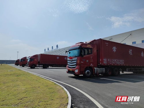 湖南国际货运吞吐提升2倍 长沙黄花国际机场3号货站全新启用