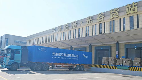 与开放相伴而行 武汉东湖高新区法院奋力书写新时代涉外审判的 光谷答卷