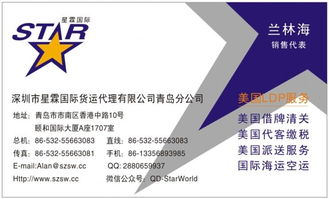 星霖国际供应t恤出口美国ldp双清关到门