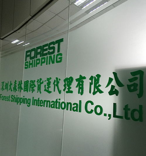 大森林国际 全球知名的跨境物流服务平台