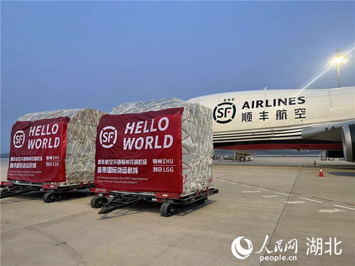 湖北打造国际一流航空货运枢纽 加快建设内陆自由贸易港